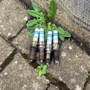 Four worn spark plugs laid out on a paving slab after removal